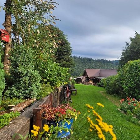 Osada Bura Polana Villa Ujsoły Exterior foto