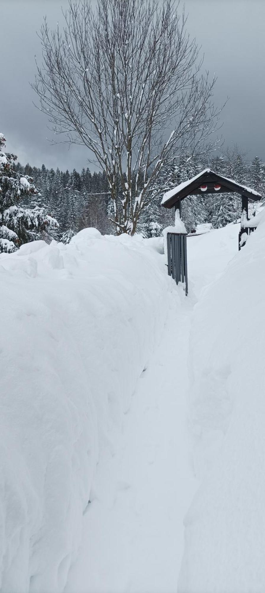 Osada Bura Polana Villa Ujsoły Exterior foto